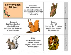 Leporello-Eichhörnchen-Elfchen-B.pdf